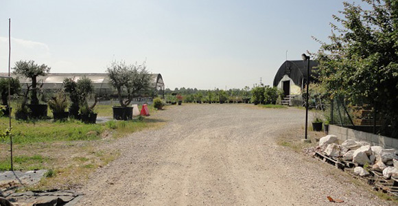 s10