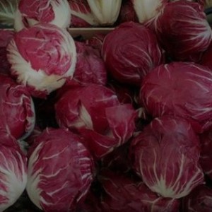 cic chioggia 506