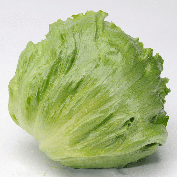 latt iceberg kavir