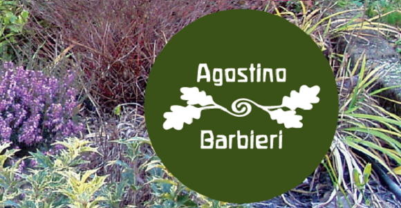 LOGO AZIENDA