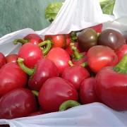 peperoncino ciliegia piccante