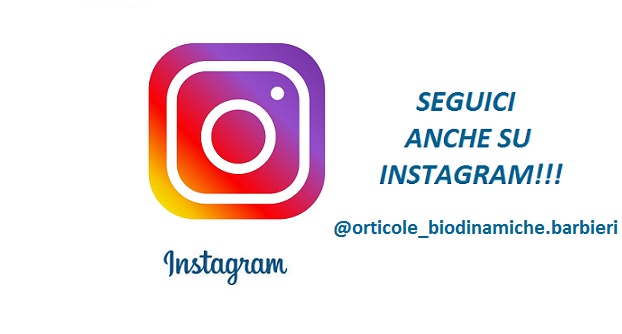 INSTAGRAM SLIDE