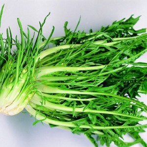 puntarelle
