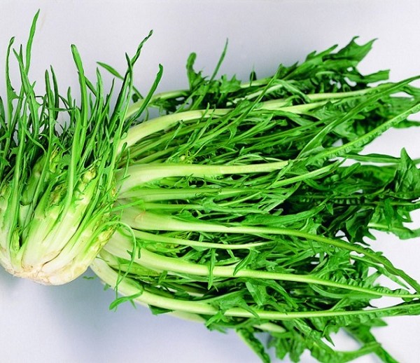 puntarelle